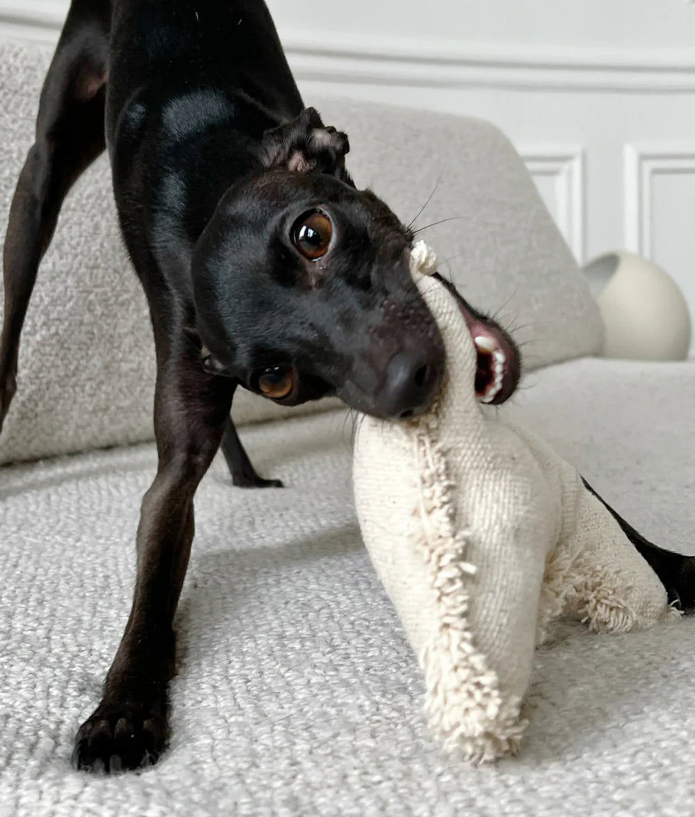 White Bone Dog Toy, Fleky