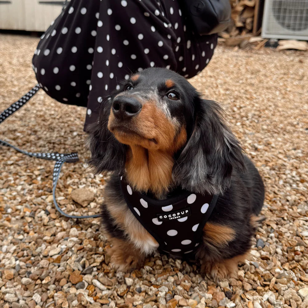 Polka Dot Adjustable Neck Harness