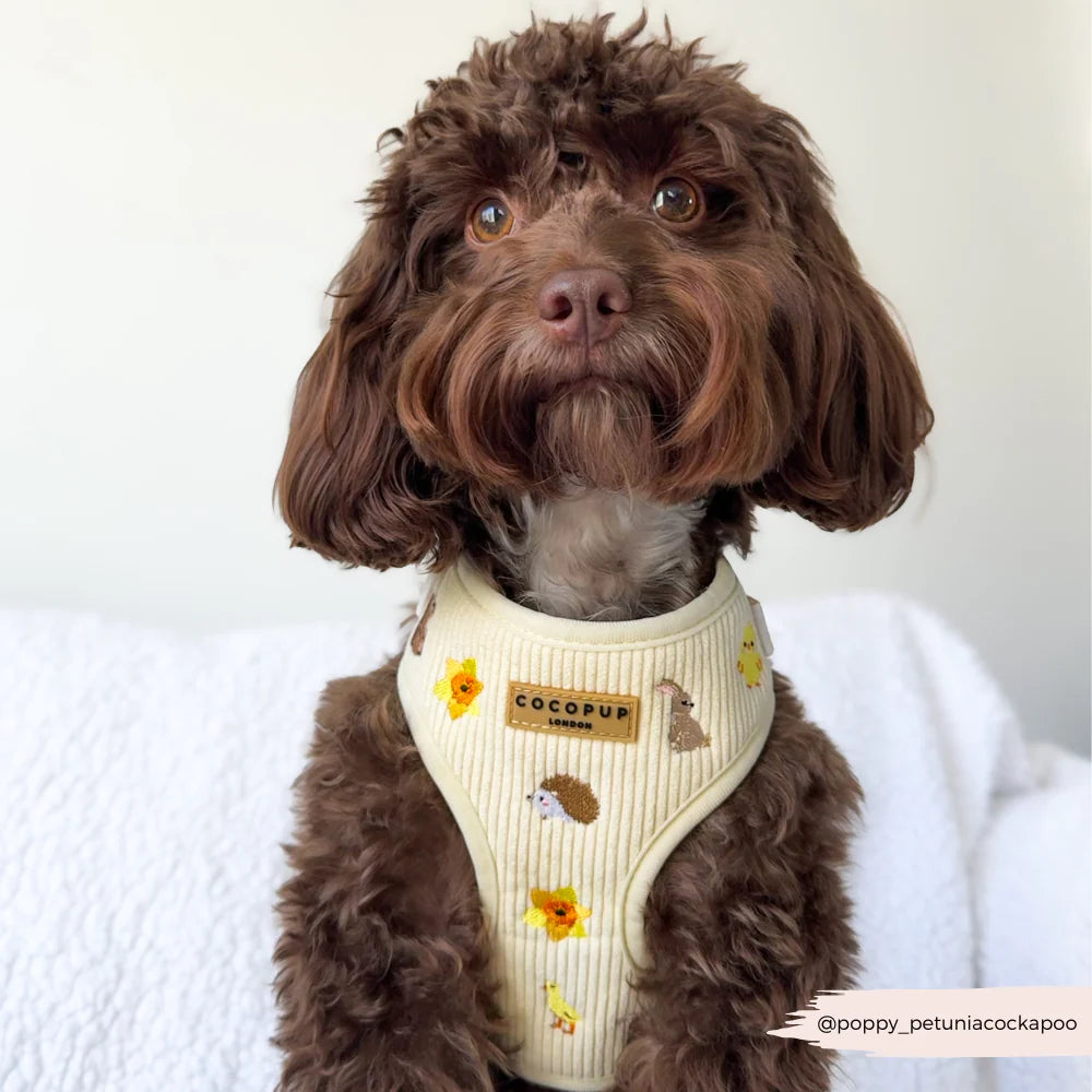Embroidered Woodland Walkies Adjustable Neck Harness