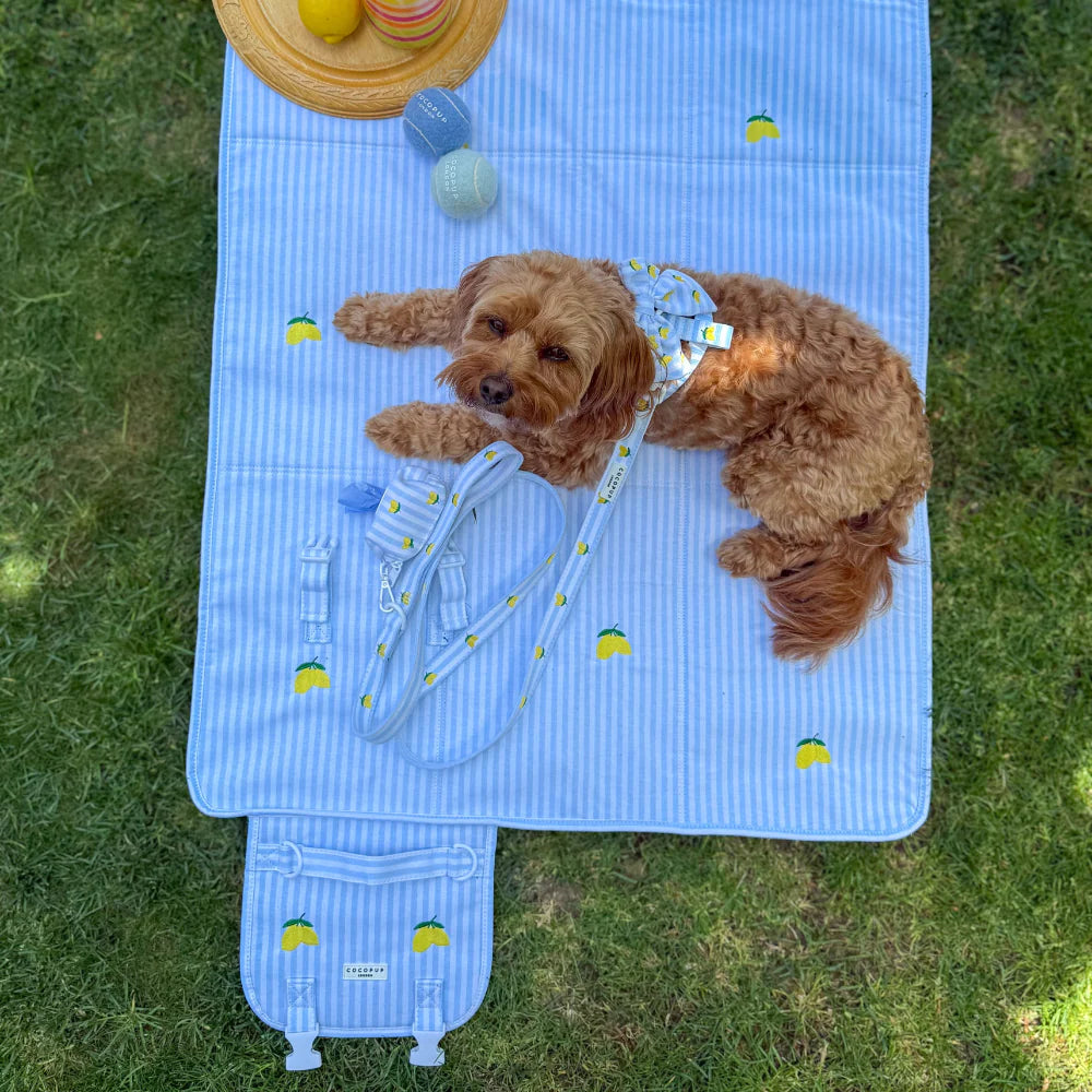 Travel Mat
