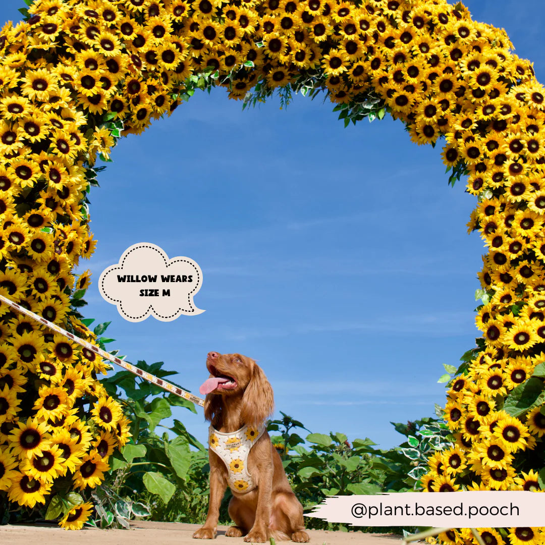 Sunflower Patch Adjustable Neck Harness