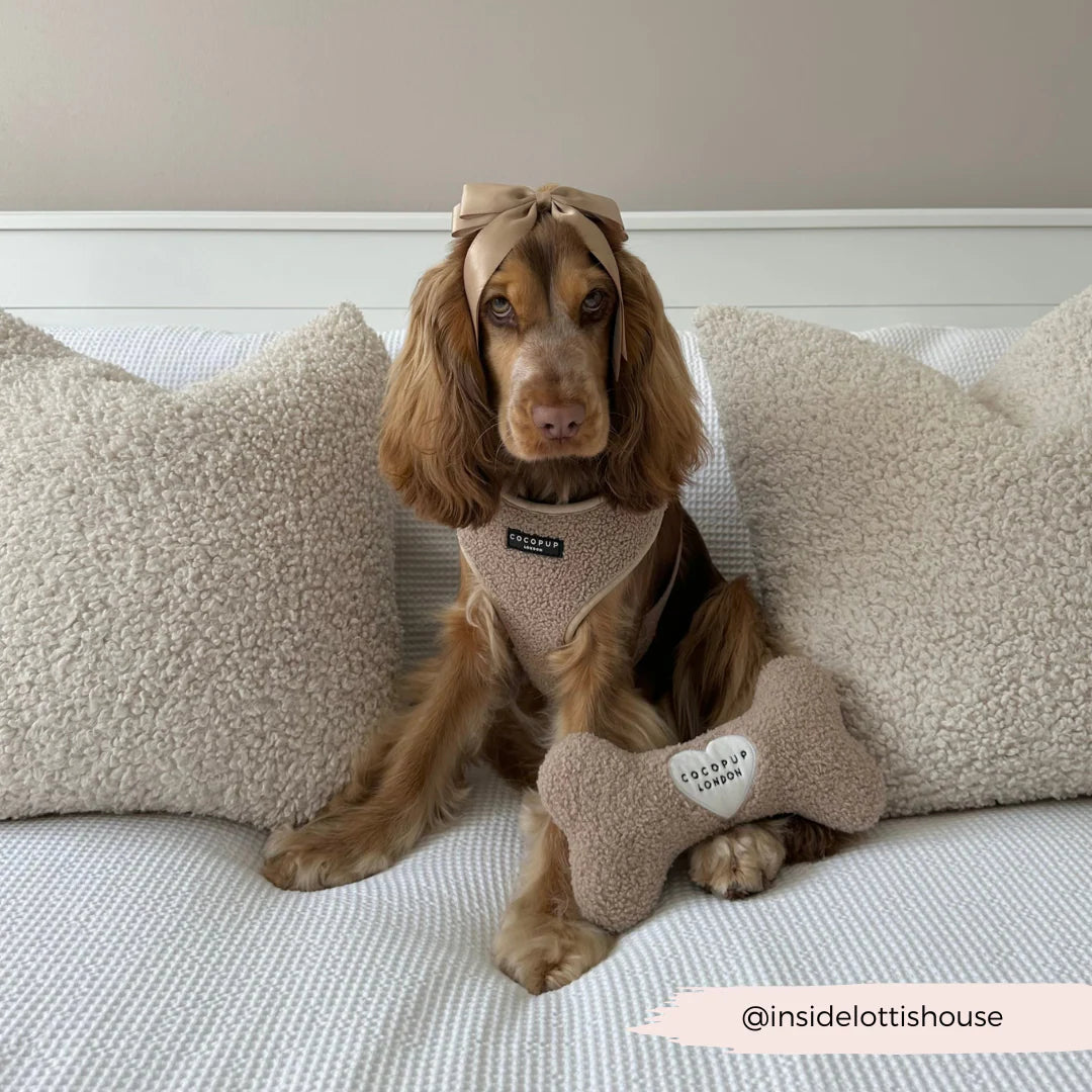 Teddy Rupert Bone Toy
