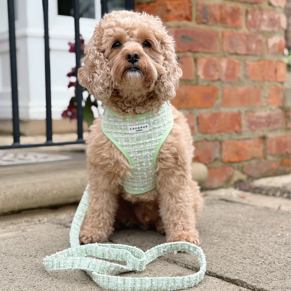 Matcha Textured Tweed Adjustable Neck Harness