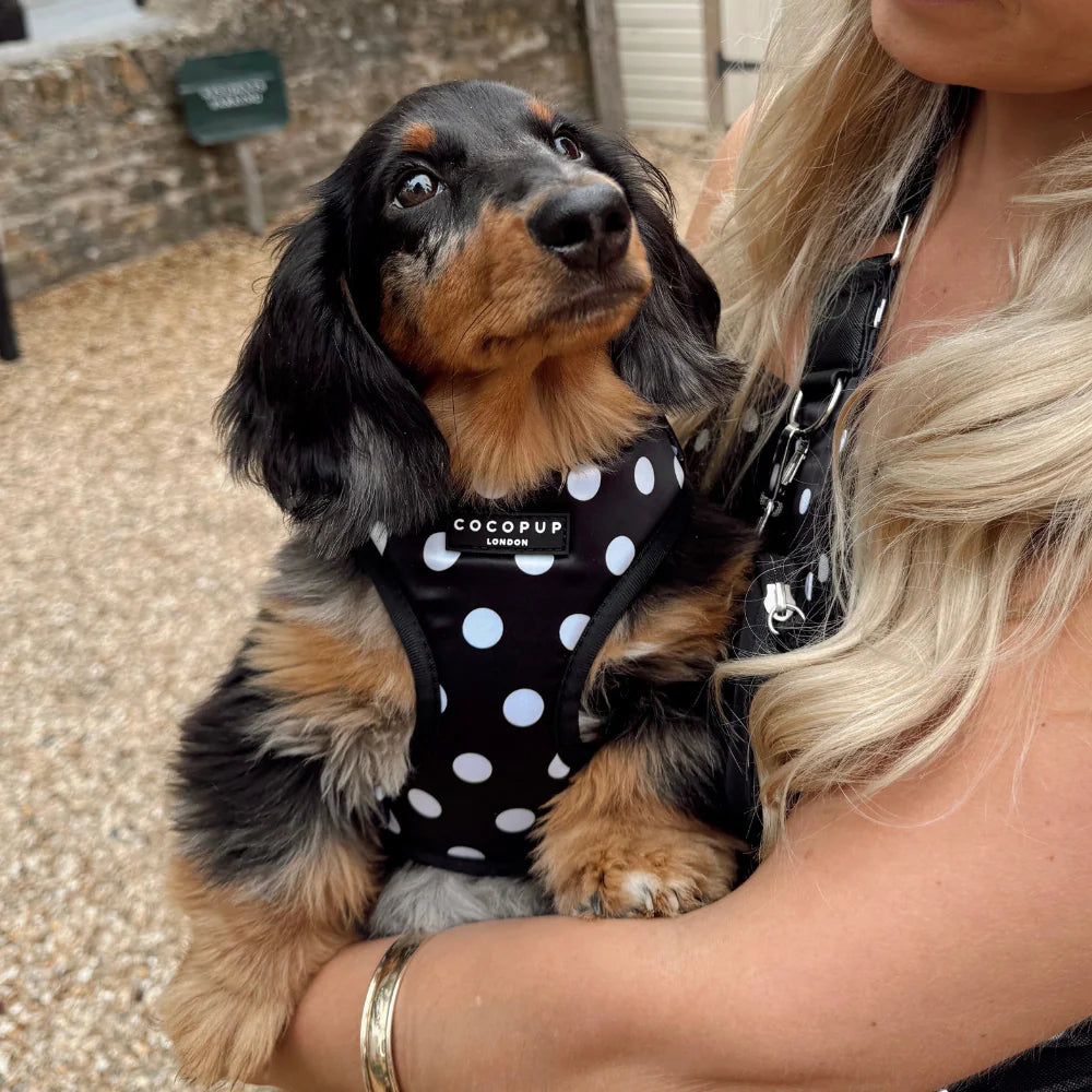 Polka Dot Adjustable Neck Harness