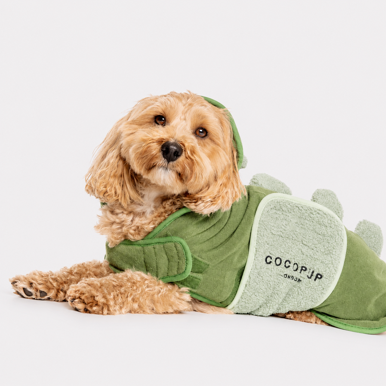 Dinopup Drying Robe