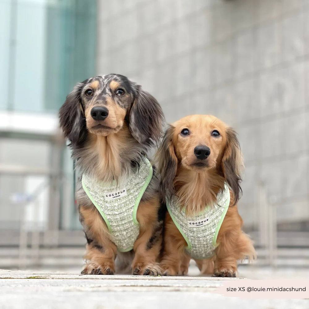 Matcha Textured Tweed Adjustable Neck Harness