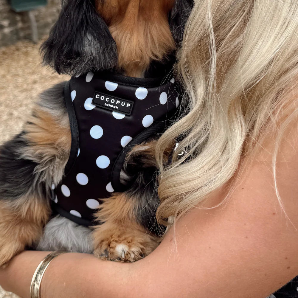 Polka Dot Adjustable Neck Harness