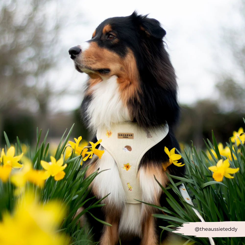 Embroidered Woodland Walkies Adjustable Neck Harness