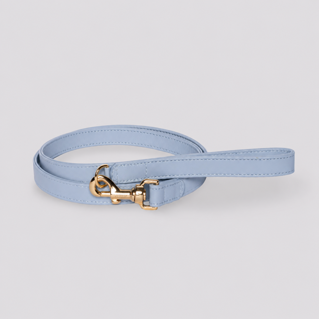 Powder Blue Leash