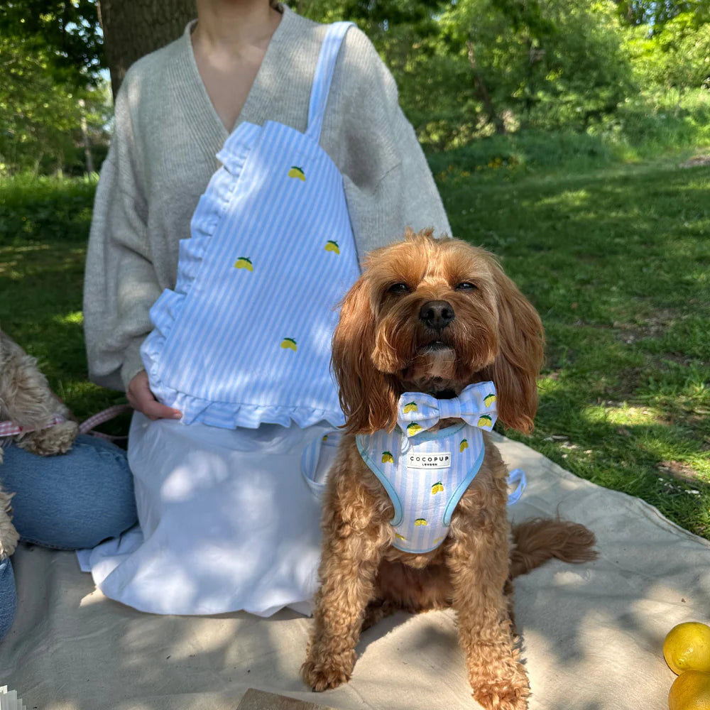 Living La Vida Lemon Adjustable Neck Harness