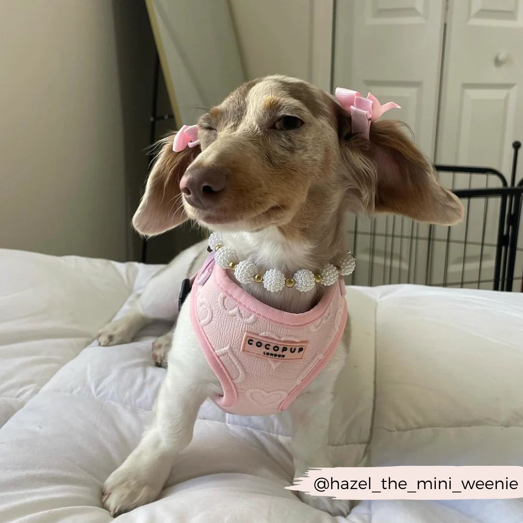Luxe Adjustable Neck Harness