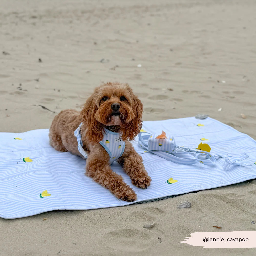 Travel Mat