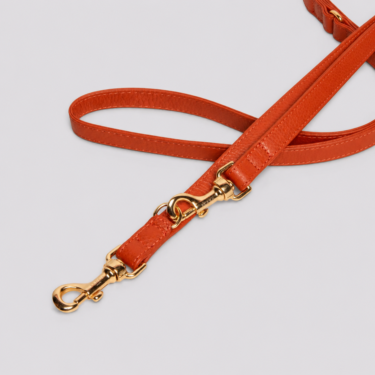Ginger Leash
