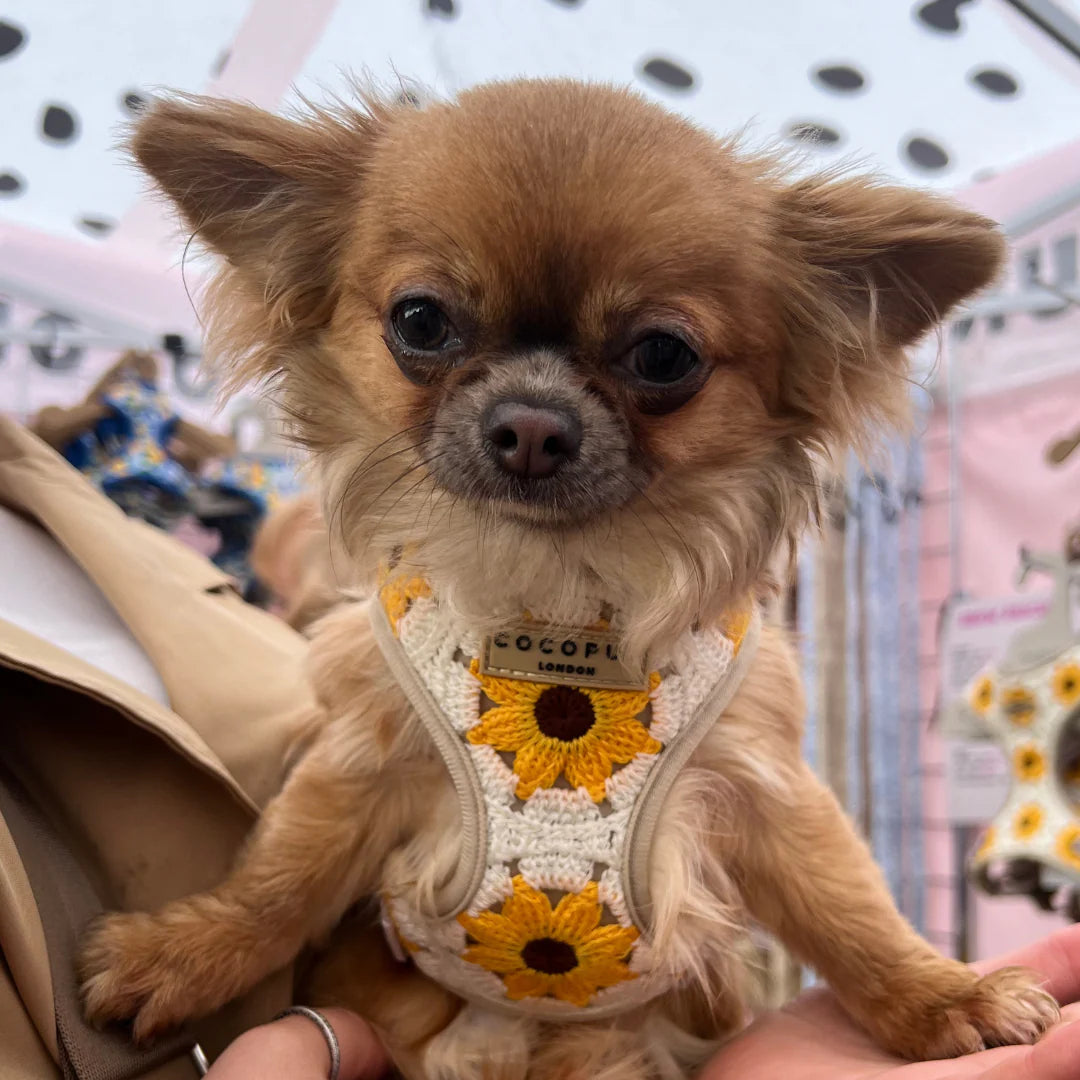 Sunflower Patch Adjustable Neck Harness