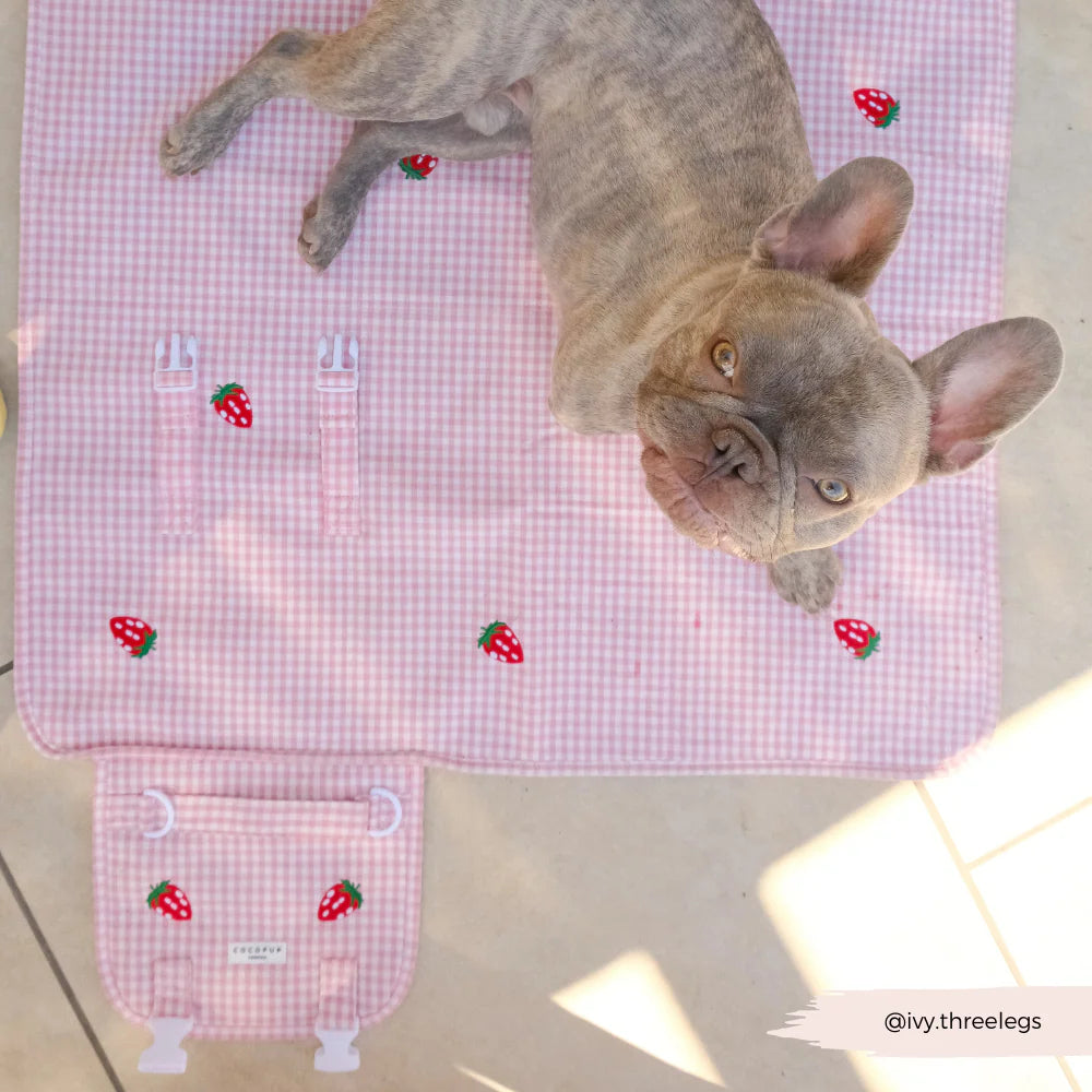 Travel Mat