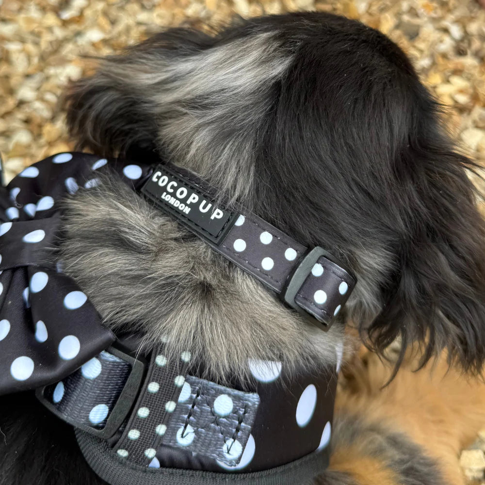 Polka Dot Collar