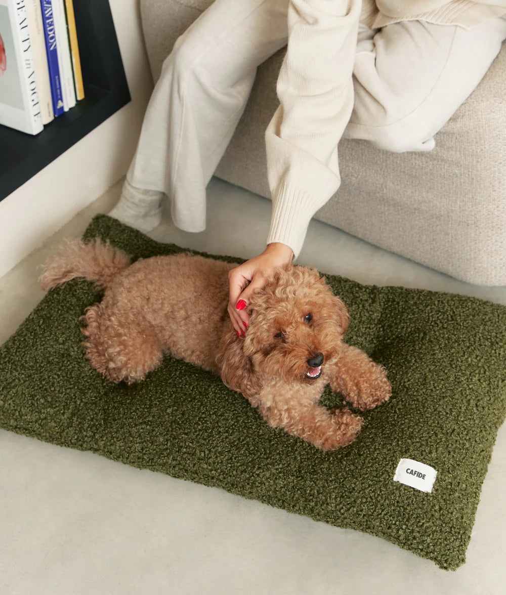 Green Fleece Dog Cushion Bed, Bela