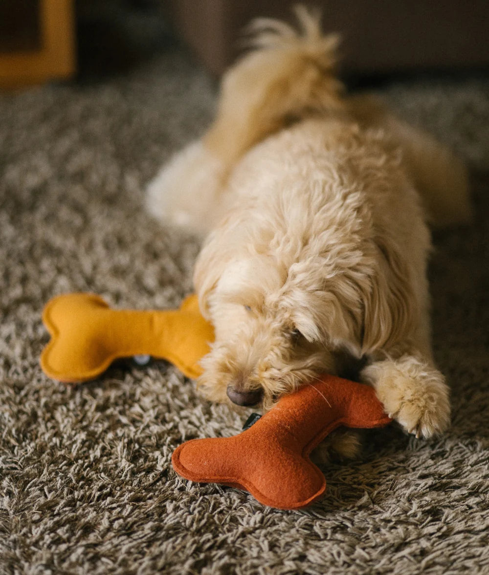 Terracotta Dog Toy, Play