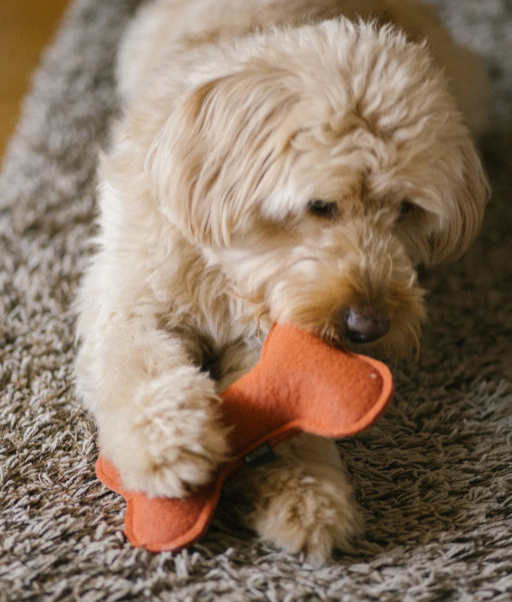 Terracotta Dog Toy, Play