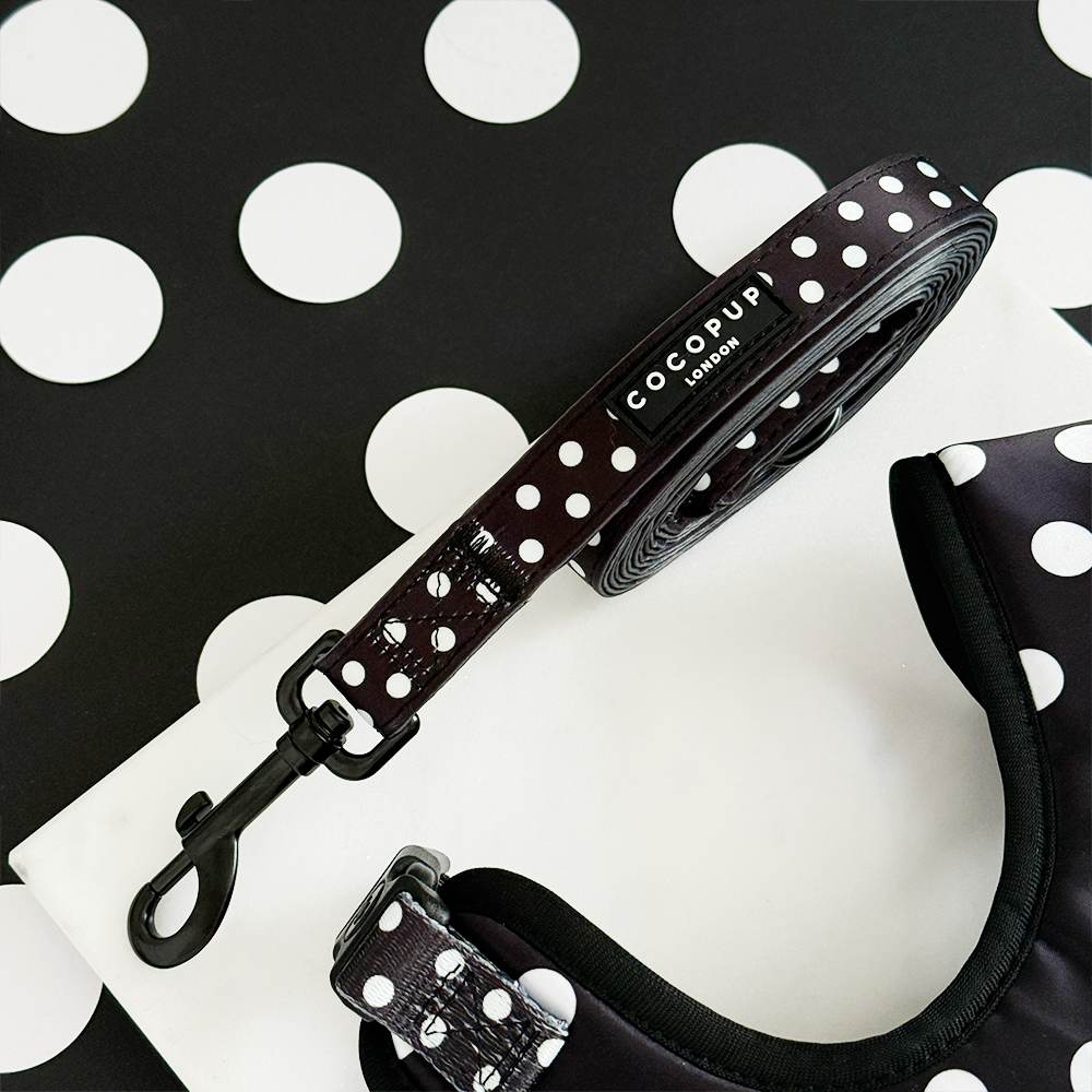 Polka Dot Lead