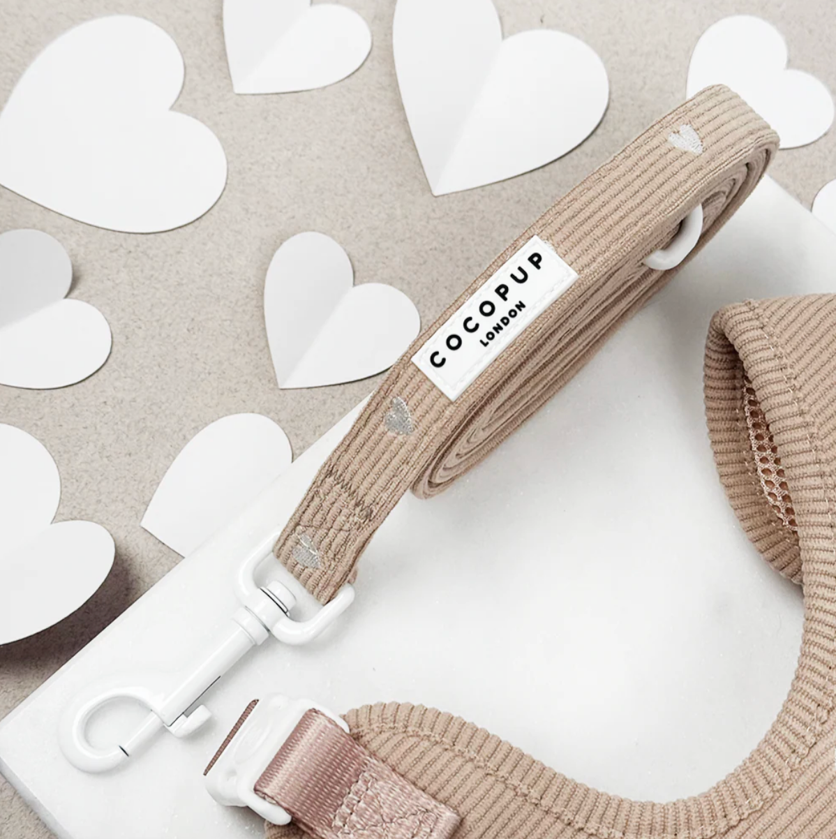Chai Hearts Lead