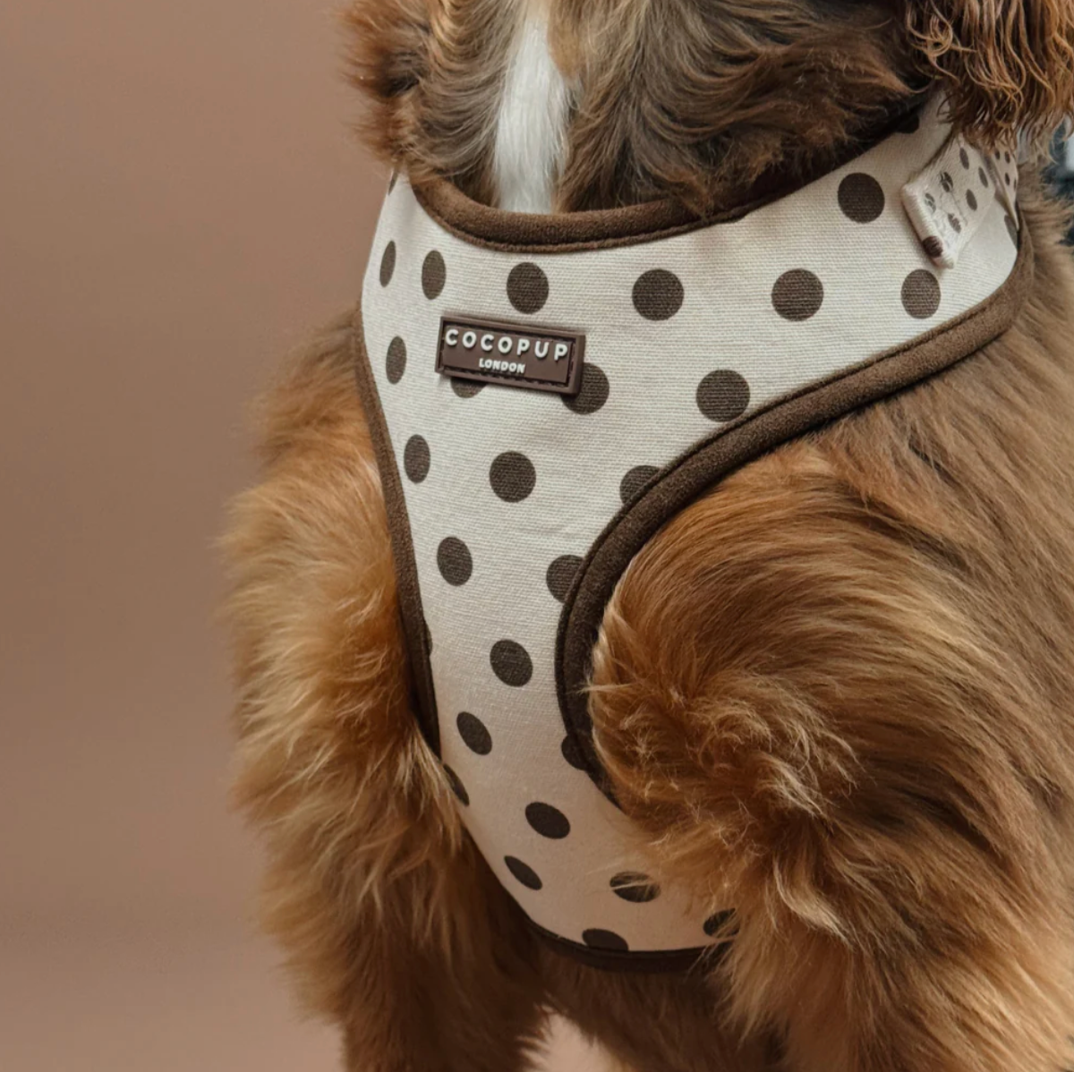 Tiramisu Polka Dot Adjustable Neck HARNESS