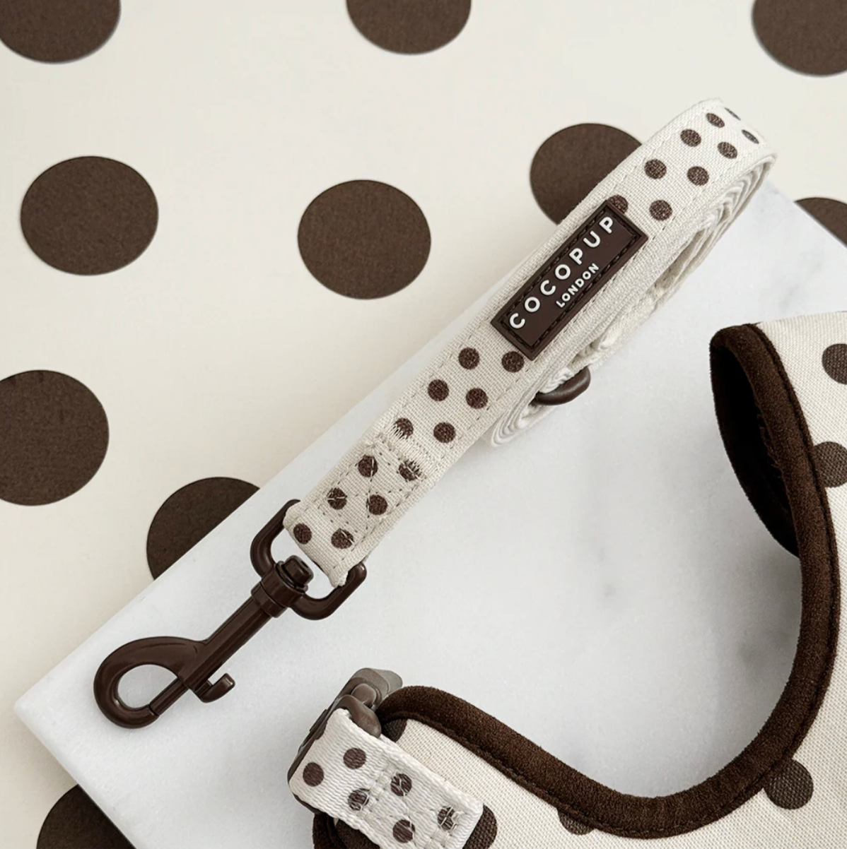 Tiramisu Polka Dot Lead Regular price