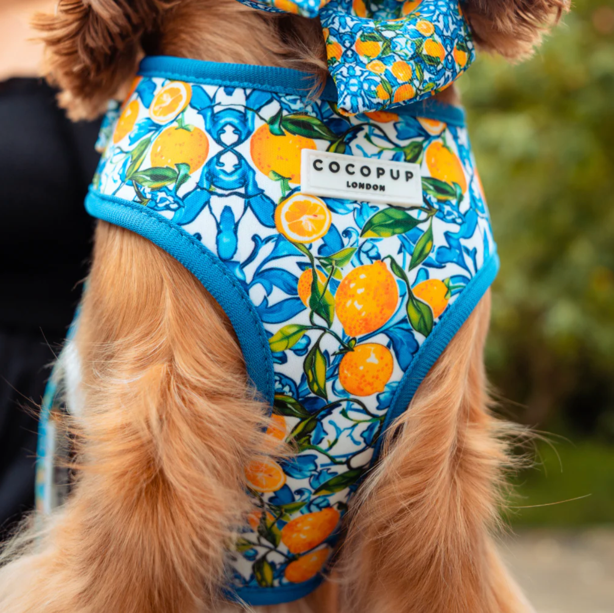 Amalfi Lemon Adjustable Neck HARNESS