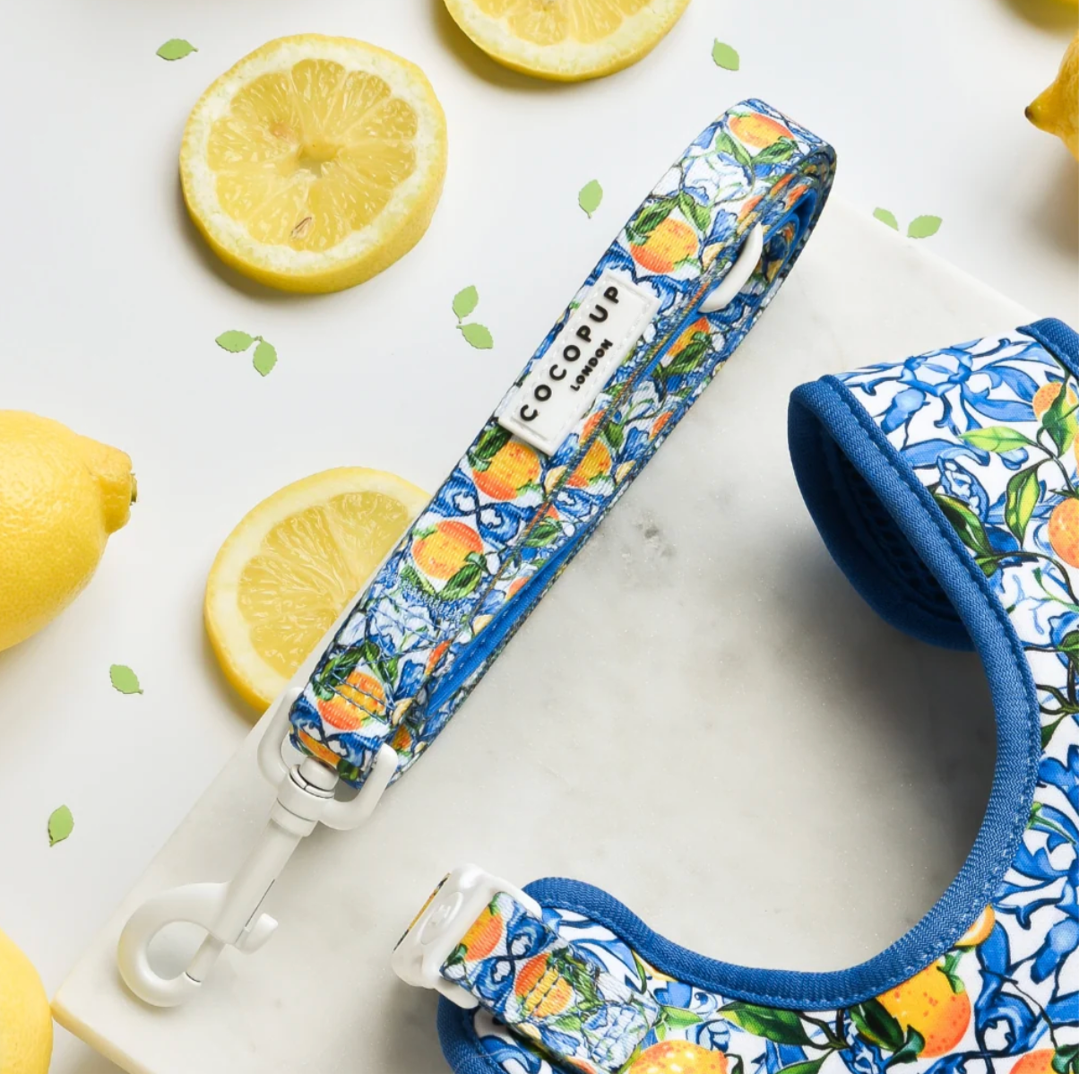 Amalfi Lemon Lead Regular price