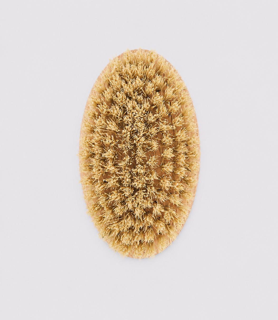 Short Haired Dog Brush