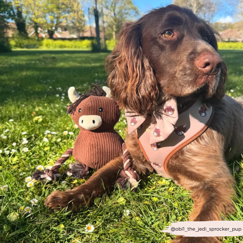 Harold the Highland Cow Toy