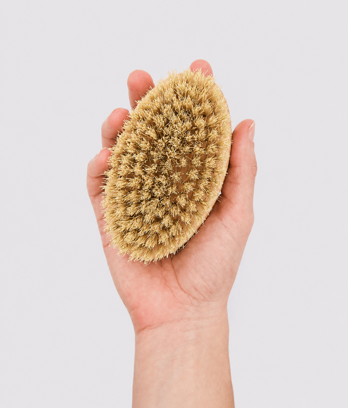 Short Haired Dog Brush
