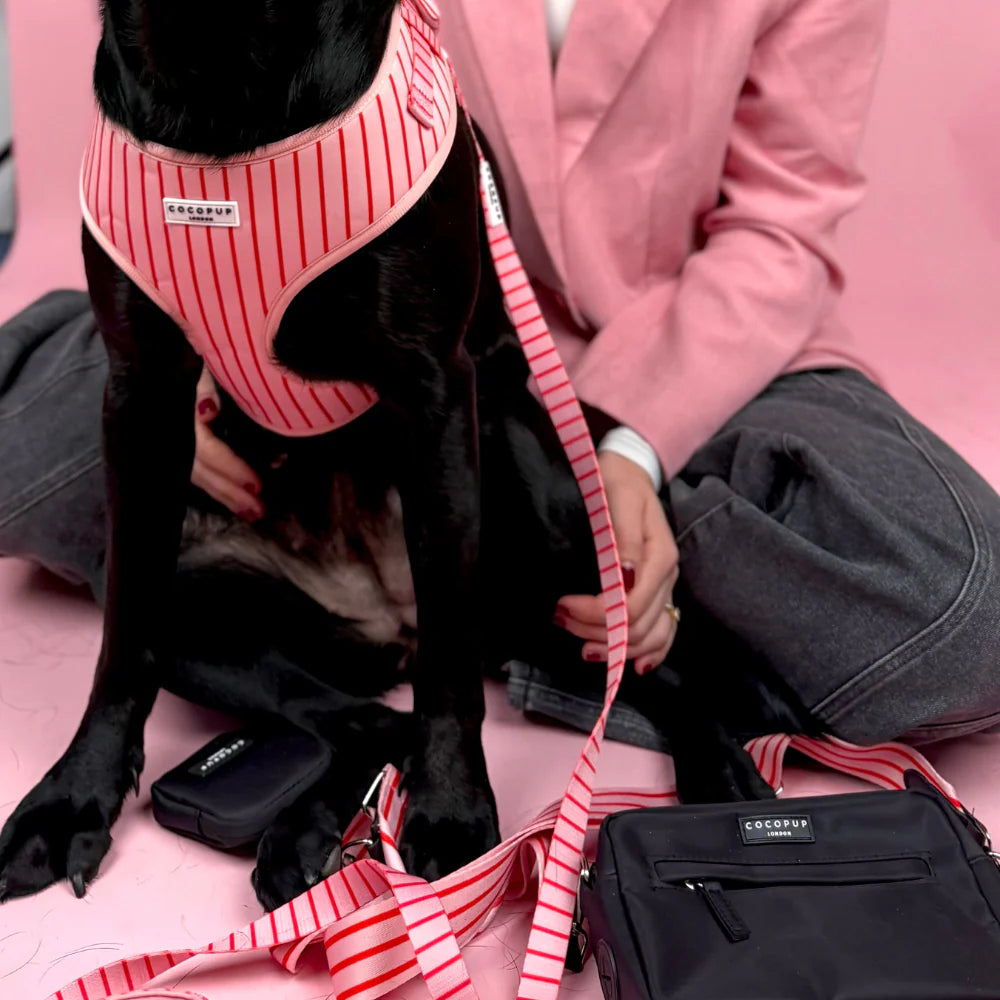Candy Stripe Lead