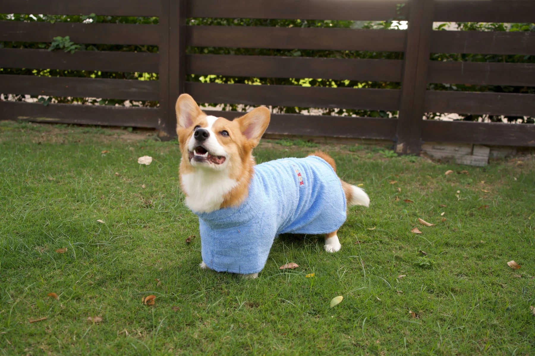 Dog Towel