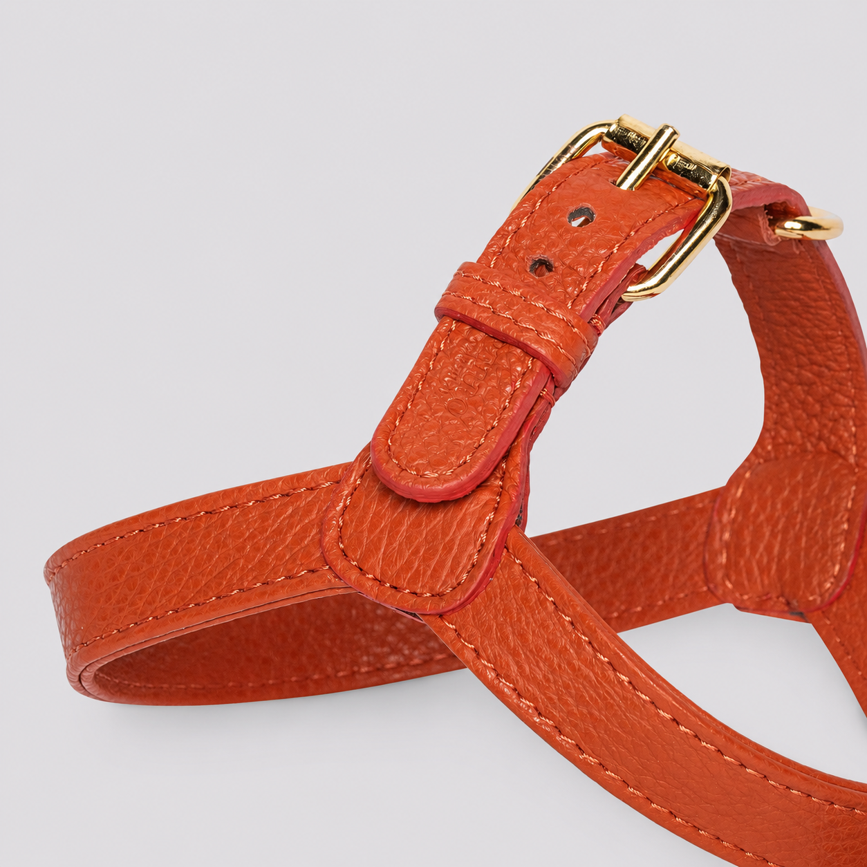 Ginger Harness