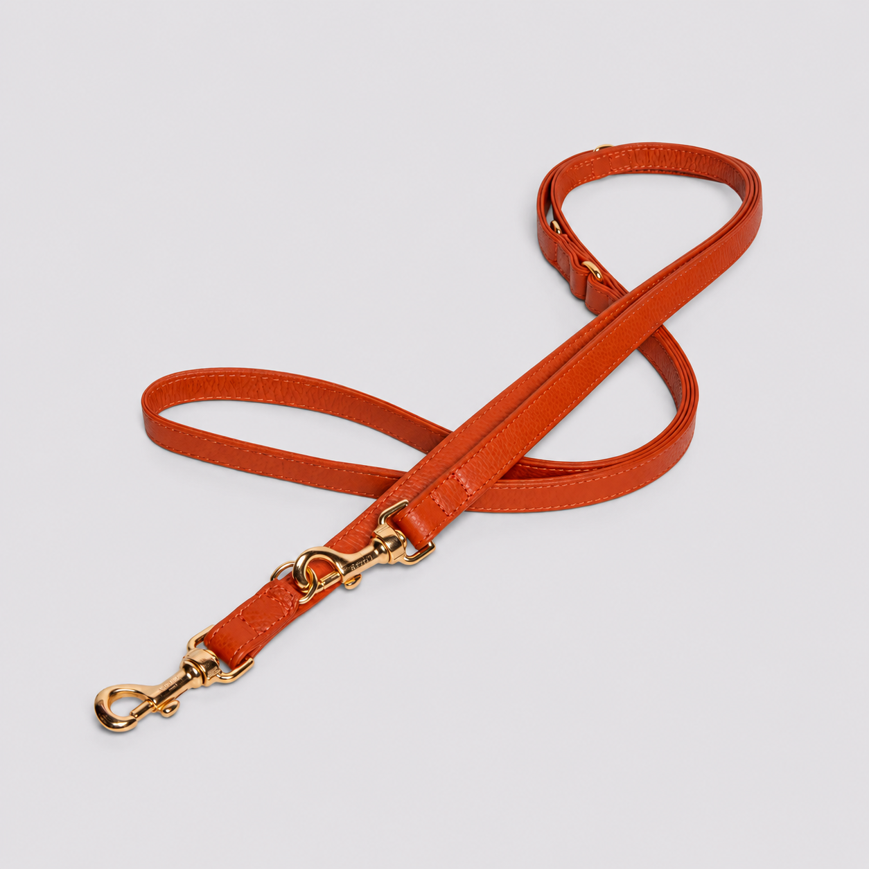 Ginger Leash