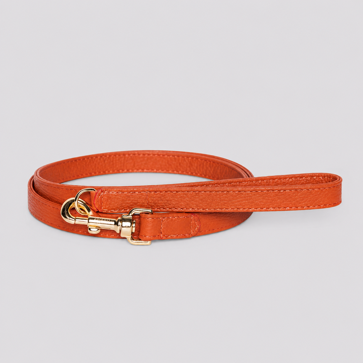 Ginger Leash