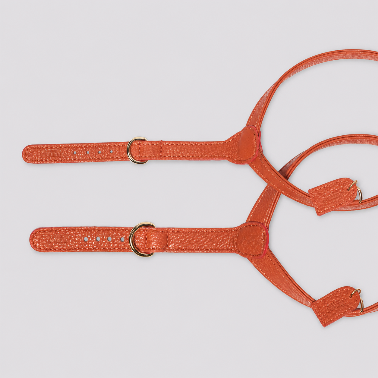 Ginger Harness