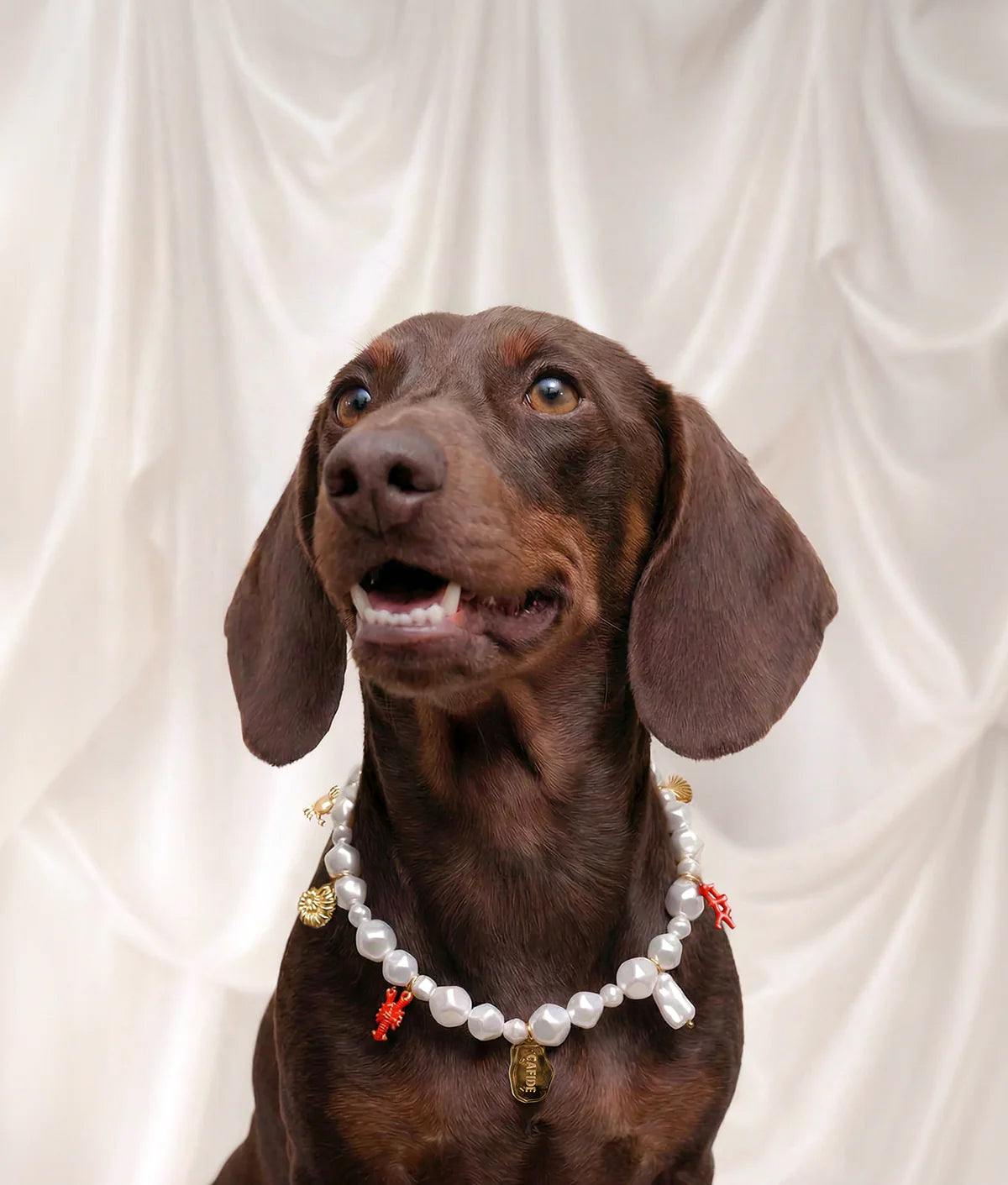 Coral Dog Charm Necklace, Sira