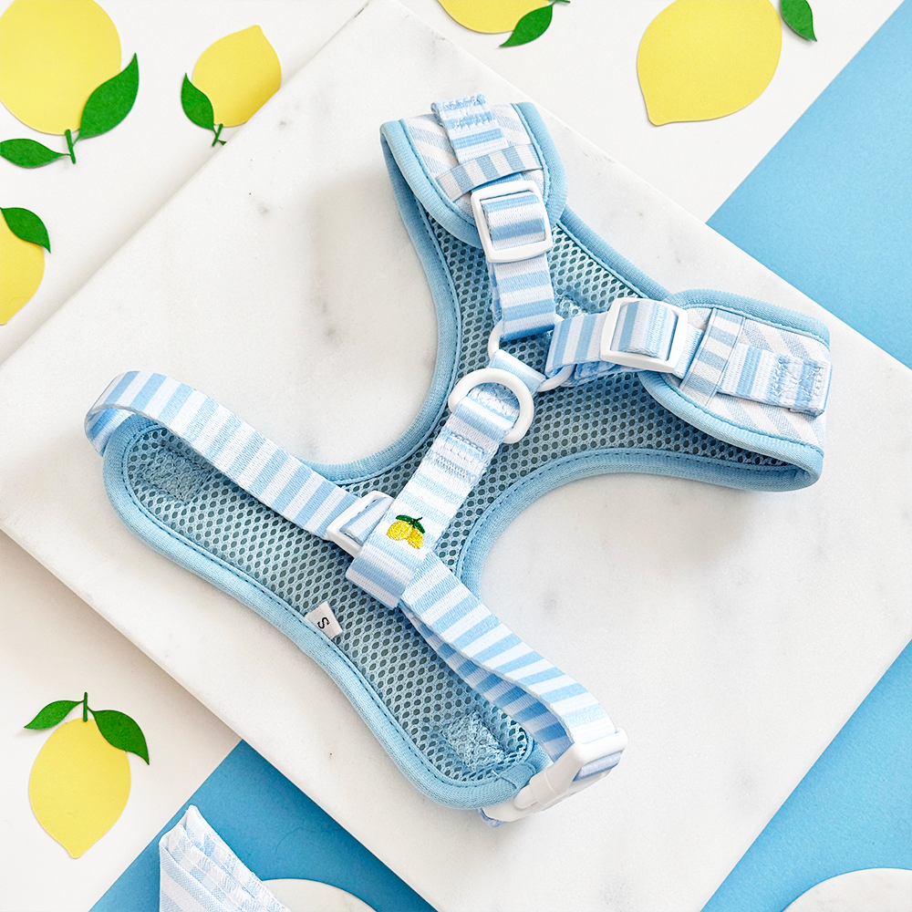 Living La Vida Lemon Adjustable Neck Harness