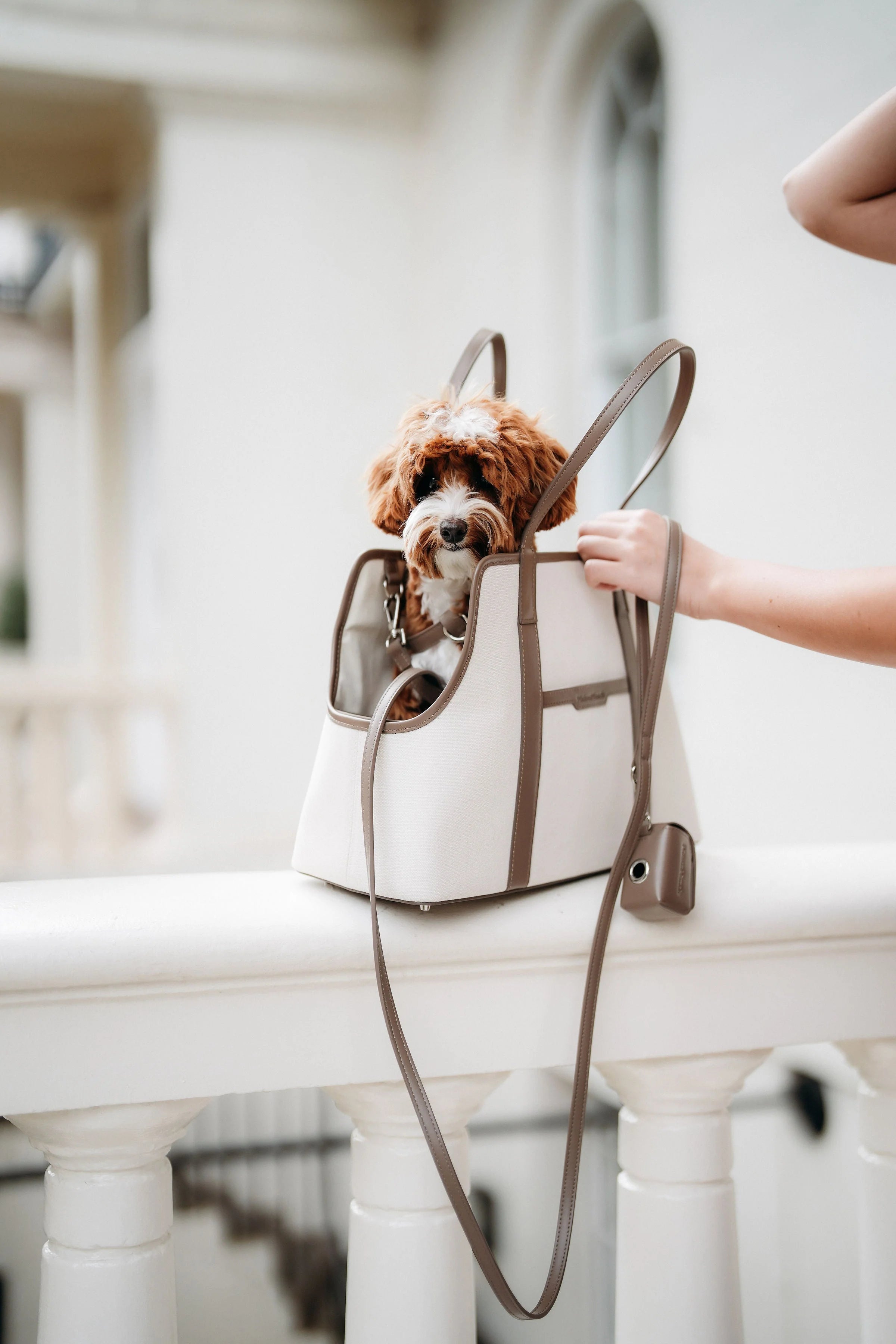 The London Tote Bag — Cocoa